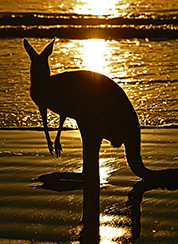 Karratha, AU