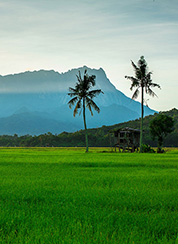 Kuching, MY