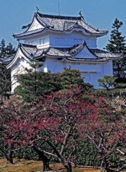 Nagoya, JP