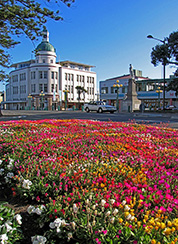 Napier, NZ
