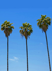 Ontario, CA