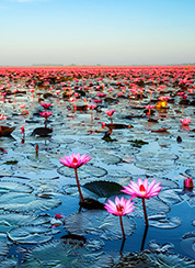 Khon Kaen, TH