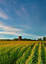 Cedar Rapids, IA