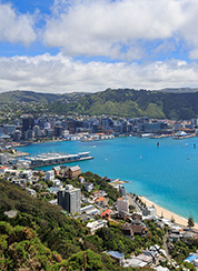 Wellington, NZ