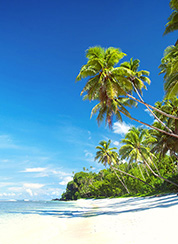 Apia, WS