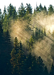 Prince George, BC