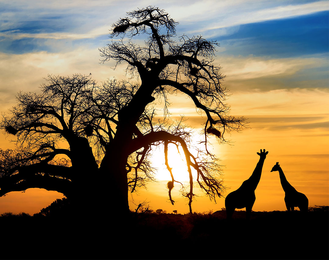 Cheap Flights from Johannesburg to Gaborone