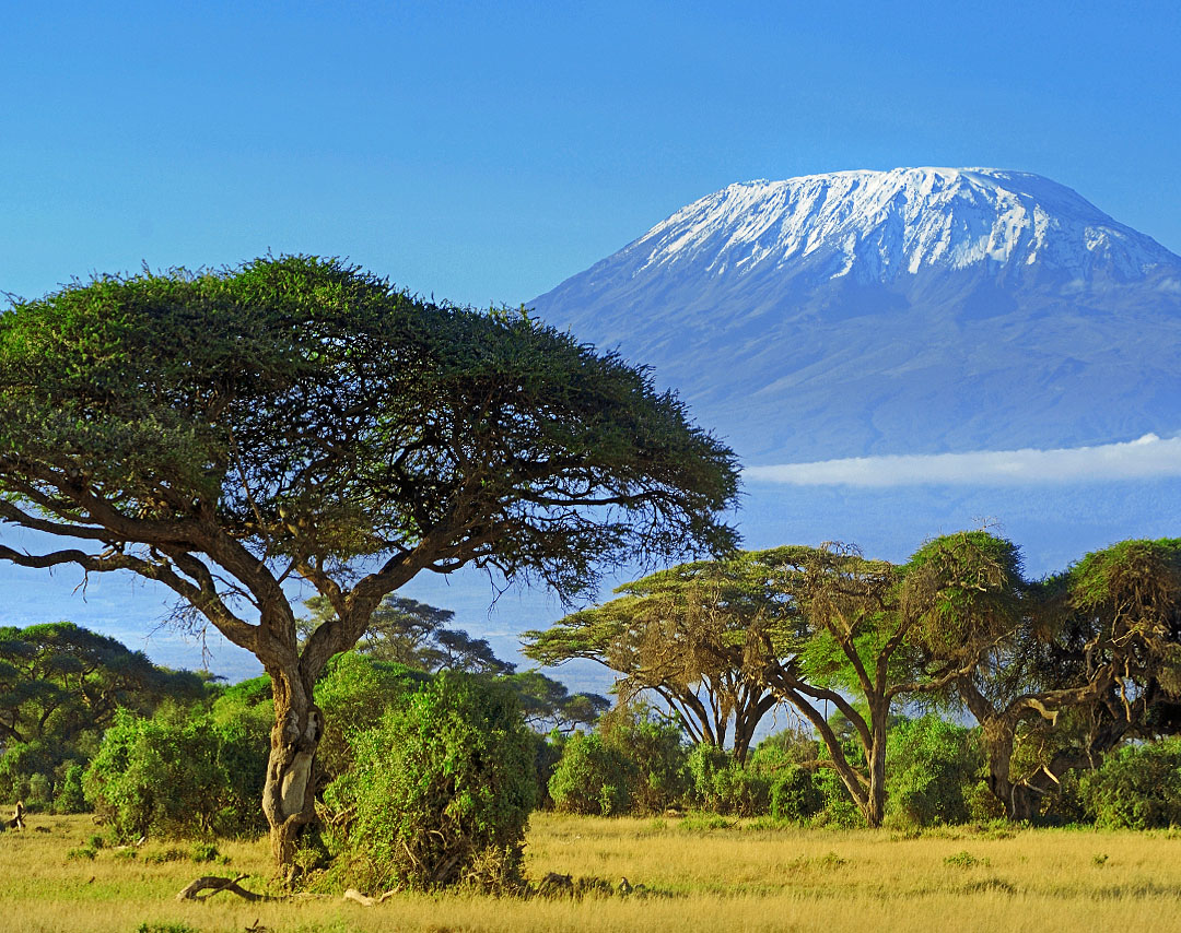 Cheap Flights from Zanzibar to Kilimanjaro