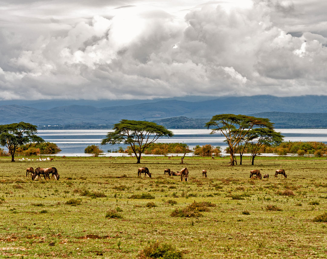 Cheap Flights from Nairobi to Kisumu