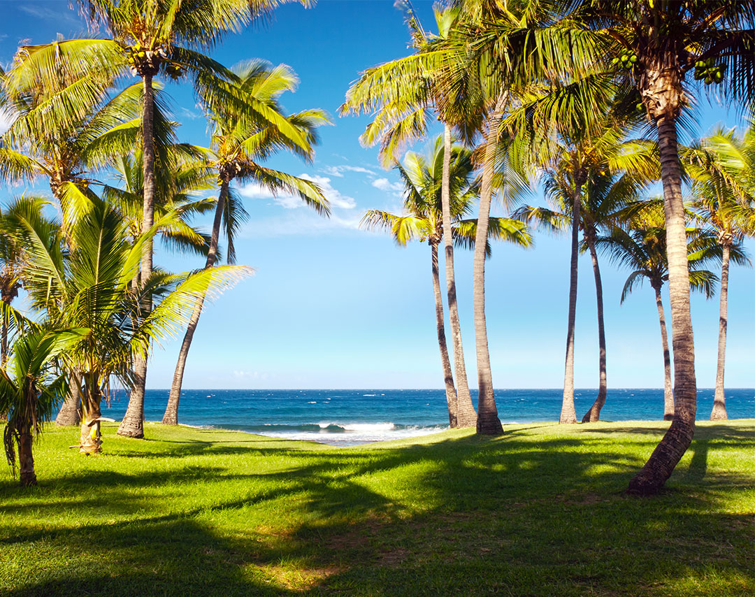 Cheap Flights from Mauritius to StDenis