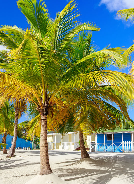 Cheap Flights to Dominican Republic, Airfares Starting at 196 Round