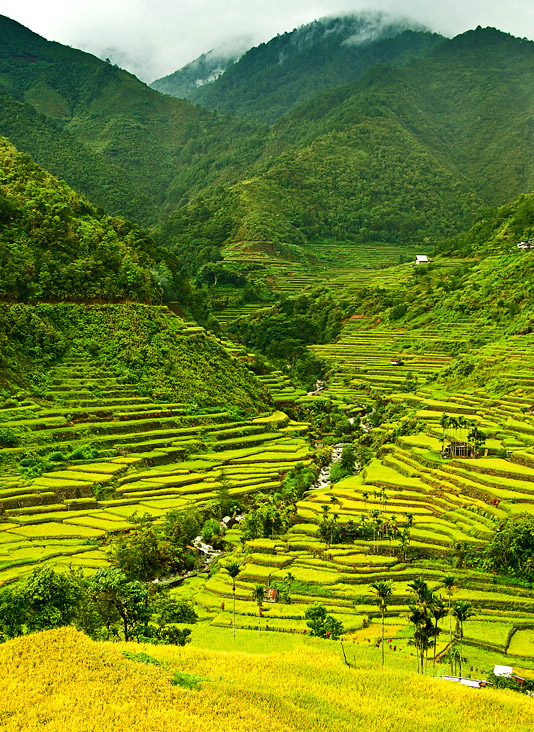 Cheap Flights to Philippines, Airfares Starting at 130 Round trip for