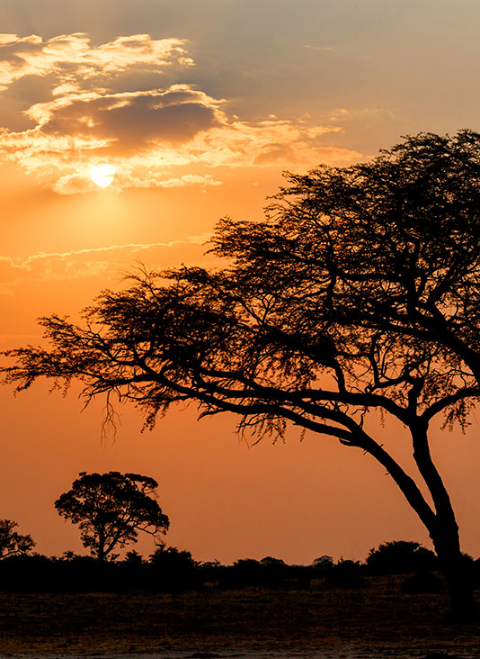 Cheap Flights to Zimbabwe, Airfares Starting at 70 Round trip for