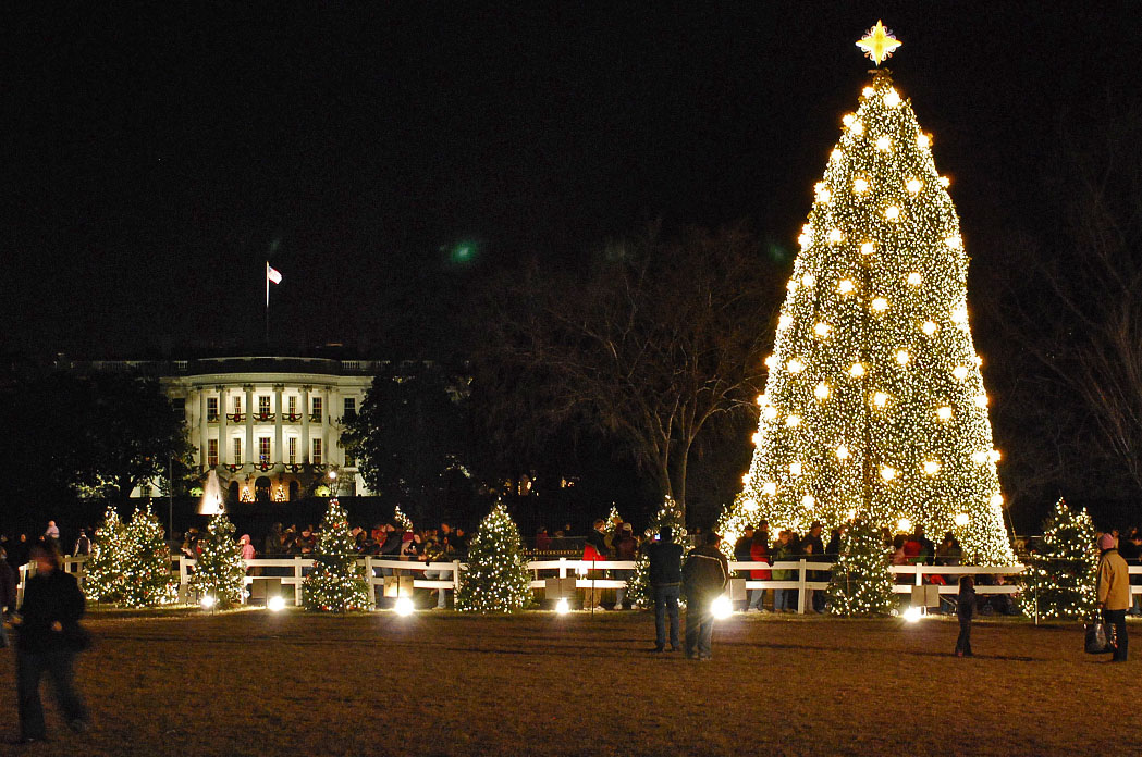 Find Flights to the National Christmas Tree Lighting DC