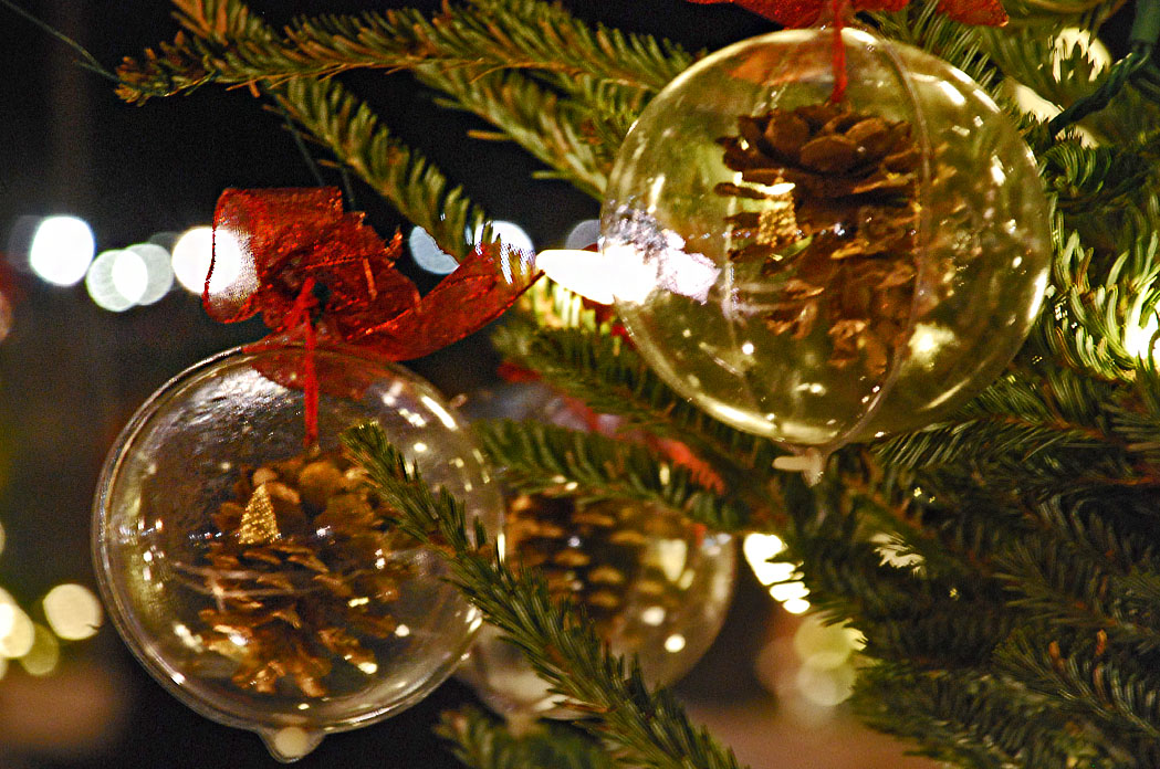 Find Flights to the National Christmas Tree Lighting DC